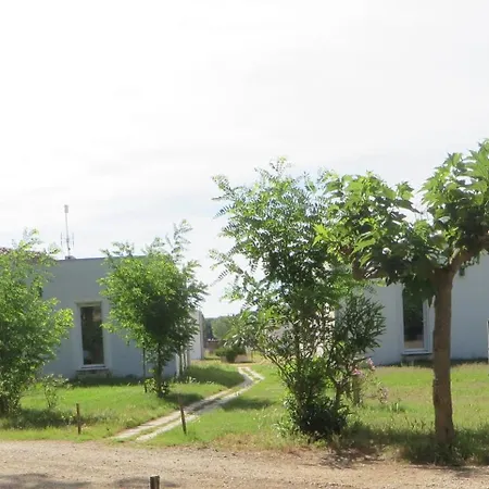 De Trouchaud * Aigues-Mortes