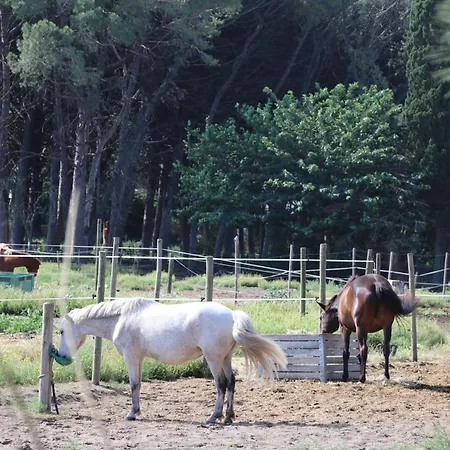 De Trouchaud Villa Aigues-Mortes